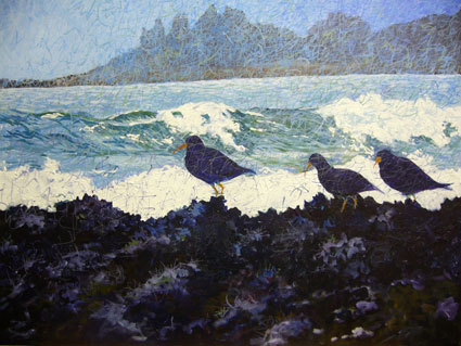 Oyster Catchers Tofino