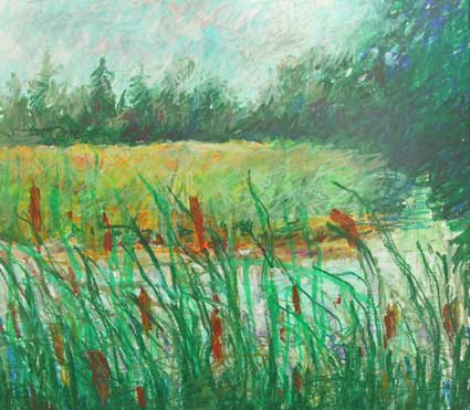 Wind in the Cat Tails